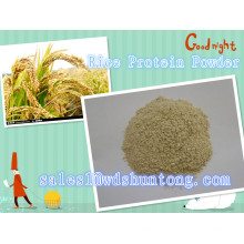 Rice Protein Powder with High Quality
